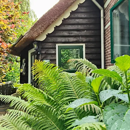Marlot Giethoorn